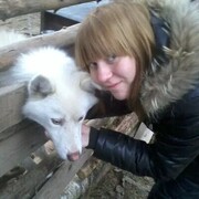 ���������� ������, ���� ������� �������, 29 ���, ������������ ��� c�������� ���������