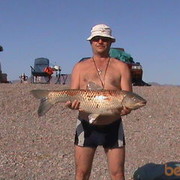  ,   Fedor93, 60 ,   ,   , c 