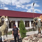 ���������� ����, ���� ������� �����, 39 ���, ������������ ��� ������, ����� � ���������, c�������� ���������