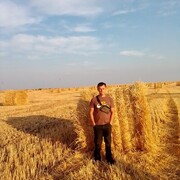  ,   , 41 ,     , c 