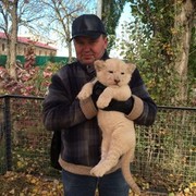 ���������� ����, ���� ������� �������, 53 ����, ������������ ��� ������, ����� � ���������, c�������� ���������