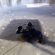 ���������� �����, ���� ������� ���������, 43 ����, ������������ 