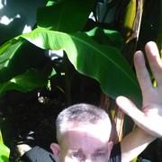  ,   Den19is, 41 ,   