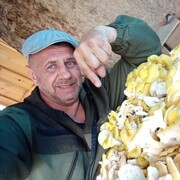  ,   , 55 ,   c 