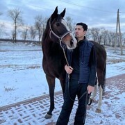 ���������� ���������, ���� ������� Mamed, 29 ���, ������������ ��� ������, ����� � ���������, c�������� ���������, ���������