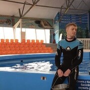 ���������� ����, ���� ������� �������, 34 ����, ������������ ��� ������, ����� � ���������, c�������� ���������, ���������