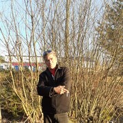  ,   Vik vik, 53 ,   ,   , c , 