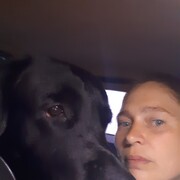 ���������� �������, ���� ������� �����, 43 ����, ������������ 