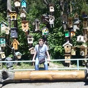 ���������� ����, ���� ������� �������, 44 ����, ������������ ��� ������, ����� � ���������, c�������� ���������