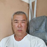 ,   Zamir, 50 ,   ,   , c 