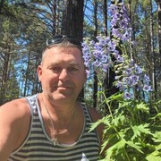 ���������� �����������, ���� ������� ���������, 50 ���, ������������ ��� ����� � ���������, c�������� ���������