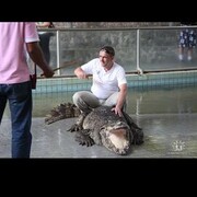 ���������� �����������, ���� ������� ����, 61 ���, ������������ ��� ������, ����� � ���������, c�������� ���������