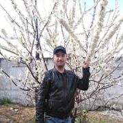  --,   Prosto, 37 ,   ,   , c 