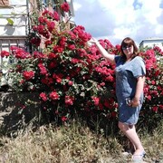  ,   , 36 ,     , c 