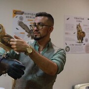  ,   ALEXKNOXX, 31 ,   ,   , c , 