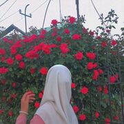 ���������� ���������, ���� ������� �������, 21 ���, ������������ ��� ������, ���������