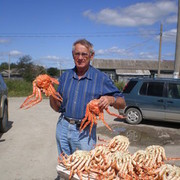 . 2009