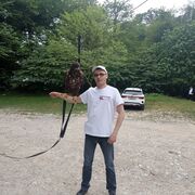  ,   , 43 ,   c , 