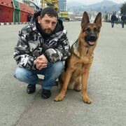  ,   , 44 ,   ,   , c , 