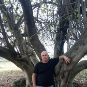  ,   , 53 ,   c 