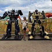 ���������� �����-���������, ���� ������� �����, 35 ���, ������������ ��� ������, ����� � ���������