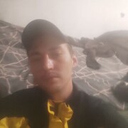  ,  , 33