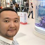 ���������� ����-�����������, ���� ������� �����, 36 ���, ������������ ��� ������, ����� � ���������, c�������� ���������