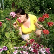 ���������� �����, ���� ������� ����, 51 ���, ������������ ��� ����� � ���������, c�������� ���������