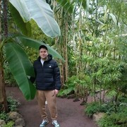 ���������� �����-���������, ���� ������� �������, 37 ���, ������������ ��� ����� � ���������, c�������� ���������