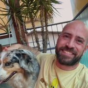  ,   , 41 ,   ,   