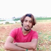 ���������� Dampleux, ���� ������� Shade, 30 ���, ������������ ��� ������, ����� � ���������