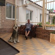 ���������� ������, ���� ������� ������, 47 ���, ������������ ��� ������, ����� � ���������