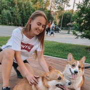  -,   , 24 ,   ,   