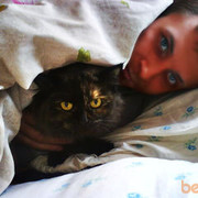 ���������� �����, ���� ������� ����, 38 ���, ������������ ��� ������, ����� � ���������, c�������� ���������