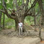  ,   Alex, 52 ,   ,   , c 