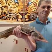 ���������� ���������, ���� ������� ���������, 50 ���, ������������ ��� ������, ����� � ���������