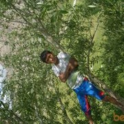 ���������� ������, ���� ������� ���, 39 ���, ������������ ��� ������, ����� � ���������, c�������� ���������