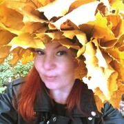   ,   , 51 ,   ,   