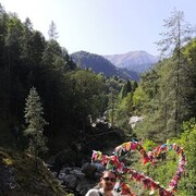  ,   , 46 ,   ,   
