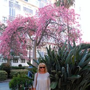 ���������� Malaga, ���� ������� �����, 58 ���, ������������ ��� ����� � ���������, c�������� ���������