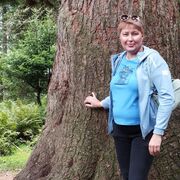 ���������� ��������, ���� ������� �����, 47 ���, ������������ ��� ������, ����� � ���������