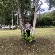 ���������� ���������, ���� ������� �������, 52 ����, ������������ ��� ����� � ���������, c�������� ���������, ���������