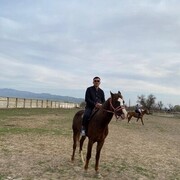 ���������� ������, ���� ������� Daurenbek, 35 ���, ������������ ��� ������, ����� � ���������