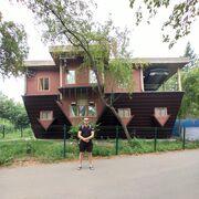 ���������� ����, ���� ������� ���������, 29 ���, ������������ ��� ������, ����� � ���������