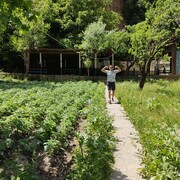 ���������� �����������, ���� ������� �����������, 35 ���, ������������ ��� ����� � ���������, ���������