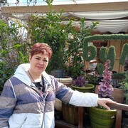 ���������� ���������, ���� ������� ��������, 58 ���, ������������ ��� c�������� ���������