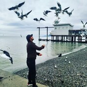 ���������� ������, ���� ������� ������, 36 ���, ������������ ��� ������, ����� � ���������