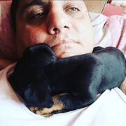  ,   , 42 ,   ,   