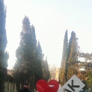  ,   , 37 ,     , c 