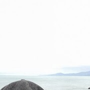 ���������� ���������, ���� ������� ������, 37 ���, ������������ ��� ������, ����� � ���������